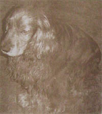 4849_m.jpg (14227 bytes)